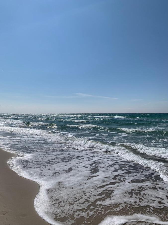 Ferienwohnung Strandgut - Kavelweg 9 - Zingst Ngoại thất bức ảnh