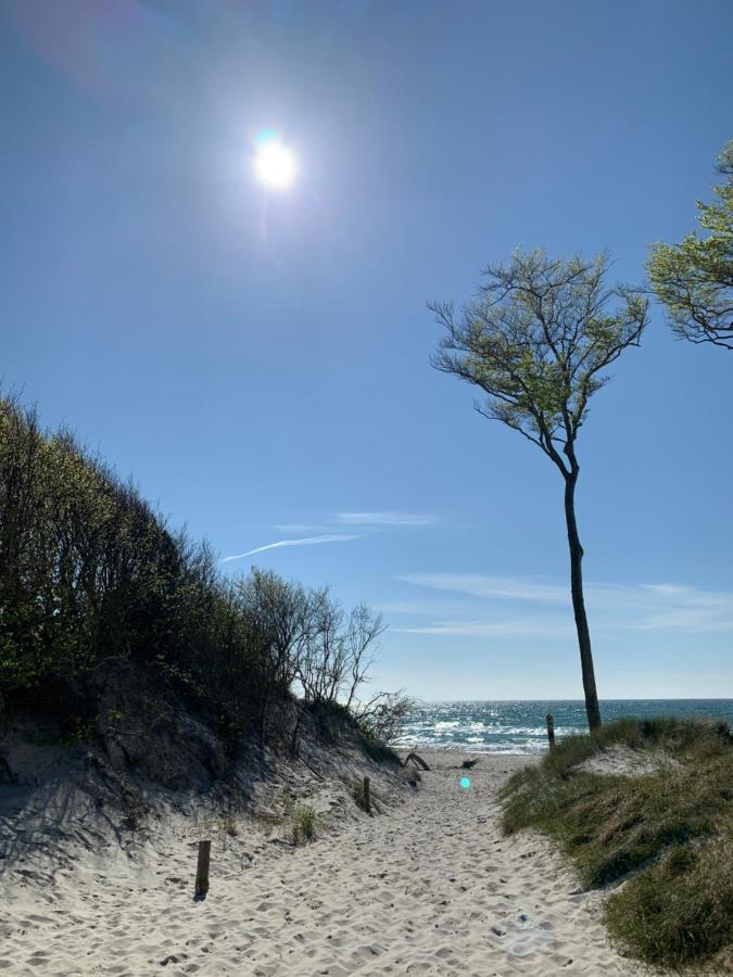 Ferienwohnung Strandgut - Kavelweg 9 - Zingst Ngoại thất bức ảnh