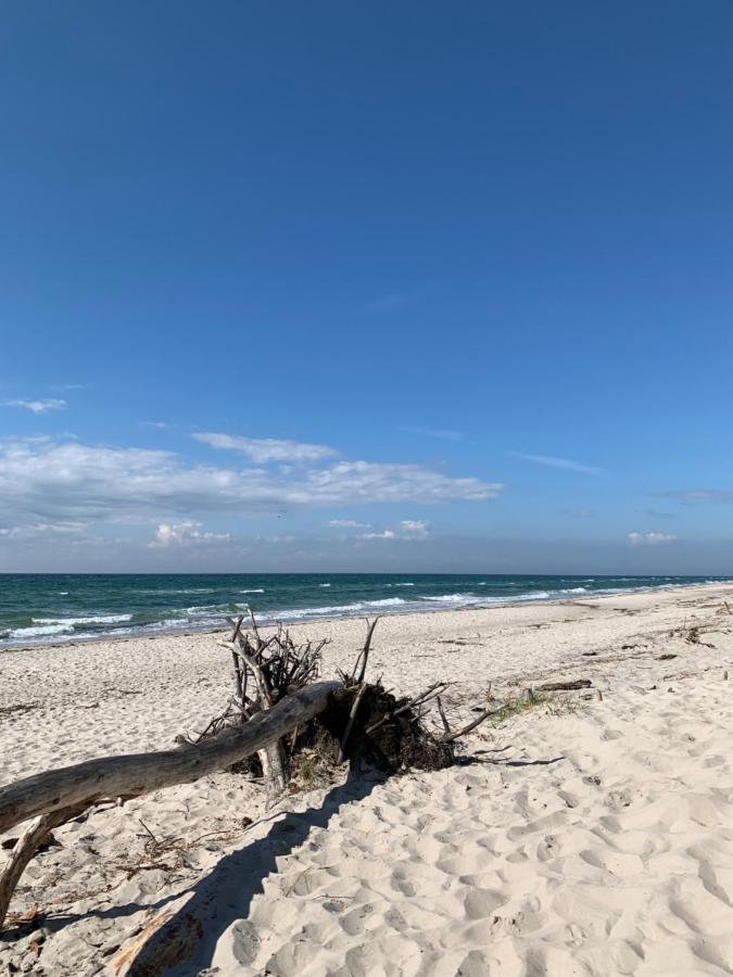 Ferienwohnung Strandgut - Kavelweg 9 - Zingst Ngoại thất bức ảnh